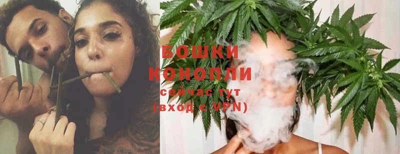 купить наркотики цена  Вязники  Канабис OG Kush 